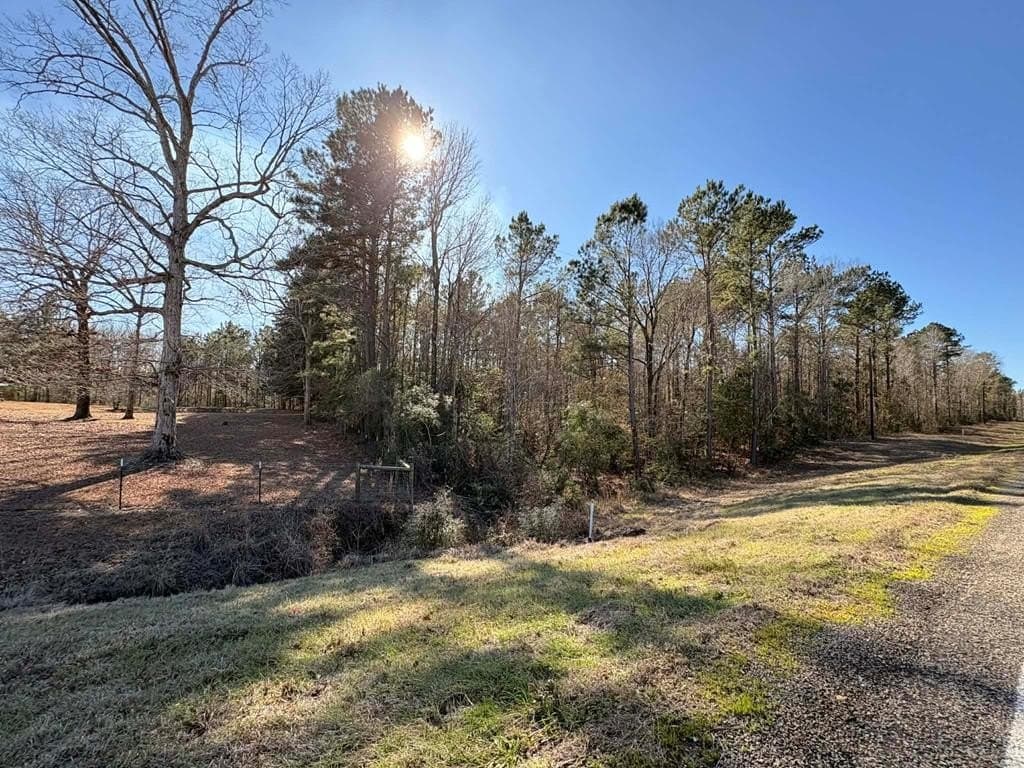 20 acres in Texas County