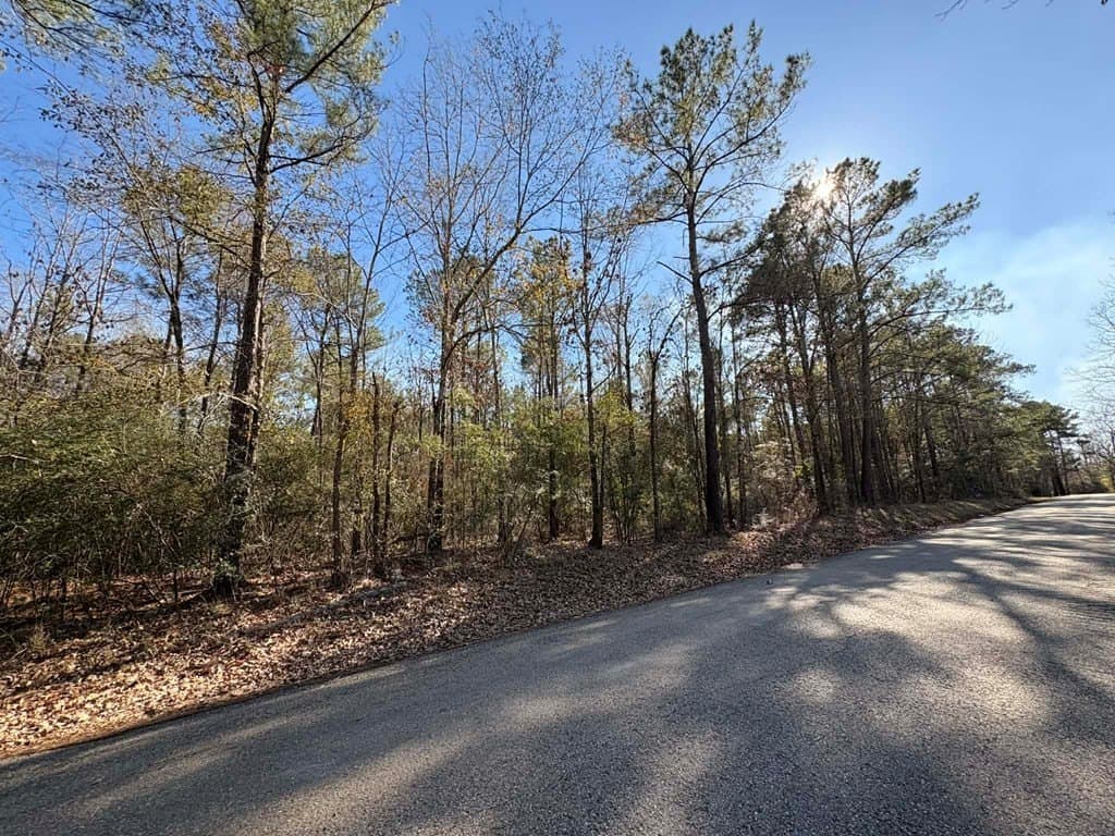 20 acres in Texas County gallery image 3