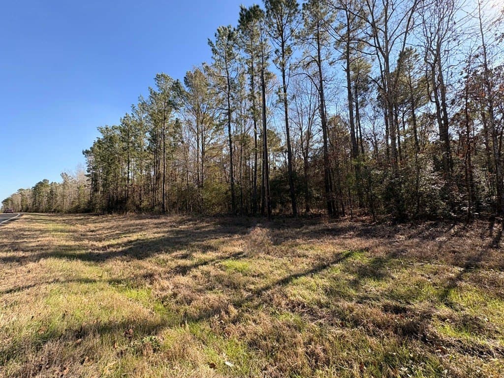20 acres in Texas County featured view