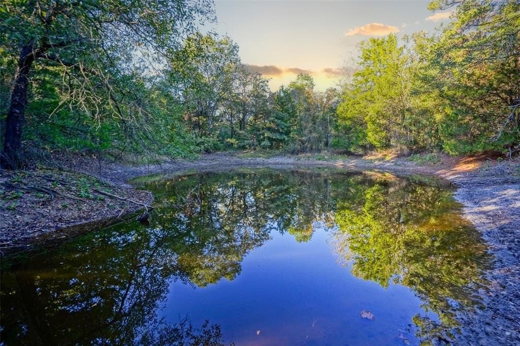 40 acres in Freestone County featured view