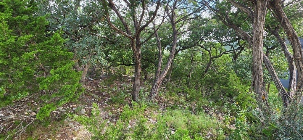 0.49 acres in Kerr County - photo 8