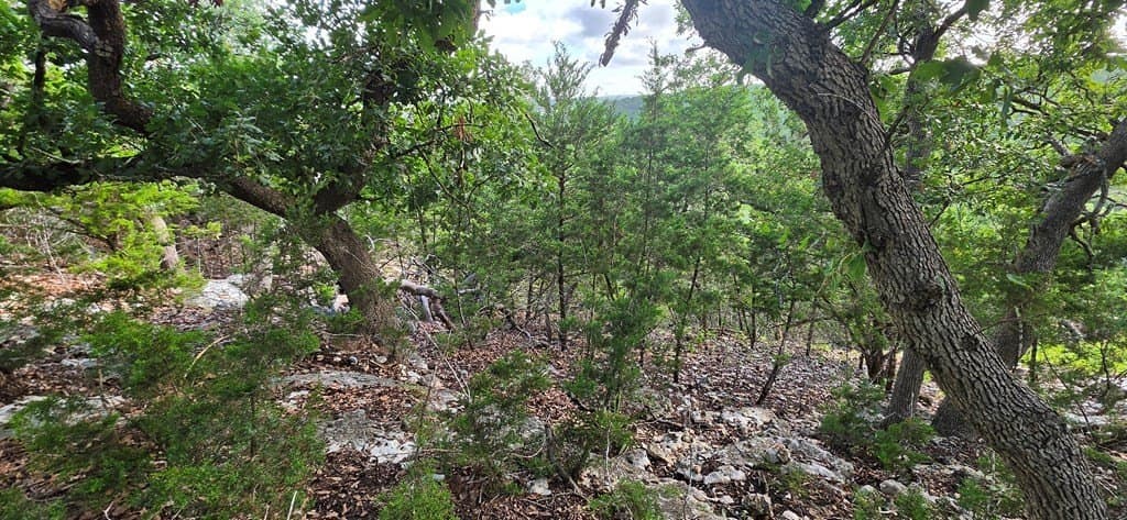 0.49 acres in Kerr County - photo 10