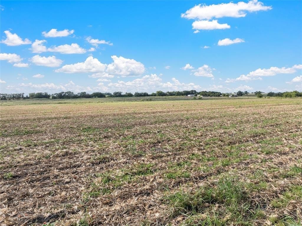 28.6 acres in Bell County gallery image 2