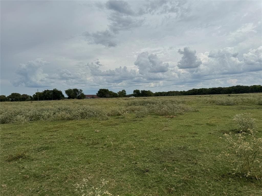 11 acres in Fannin County gallery image 3