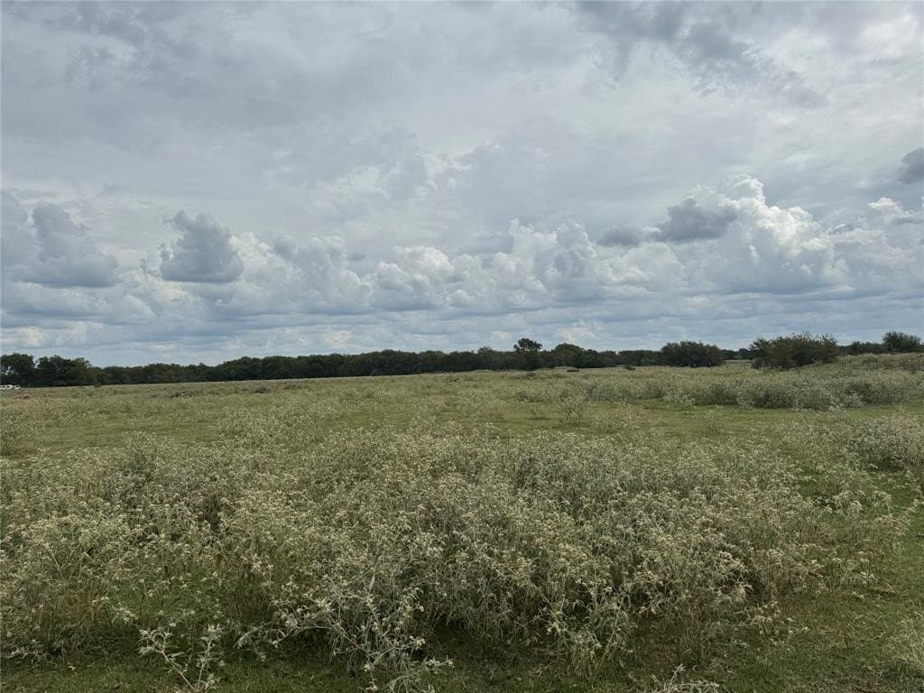 11 acres in Fannin County