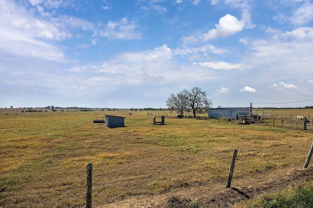 55.82 acres in Austin County - photo 8