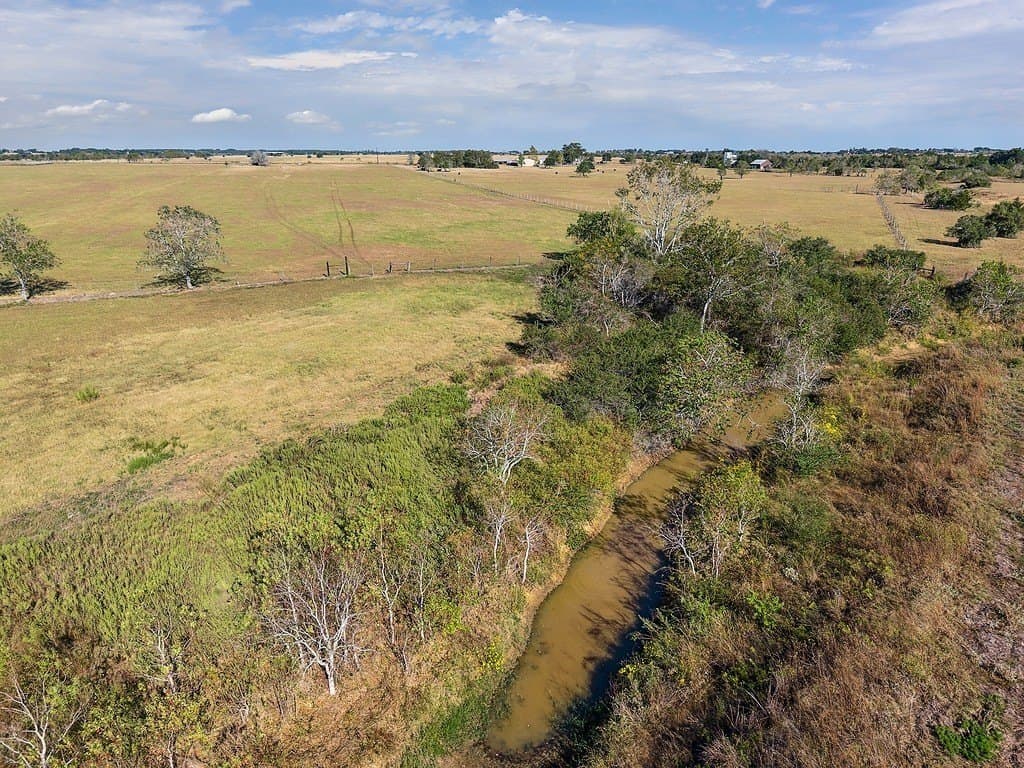 55.82 acres in Austin County gallery image 4