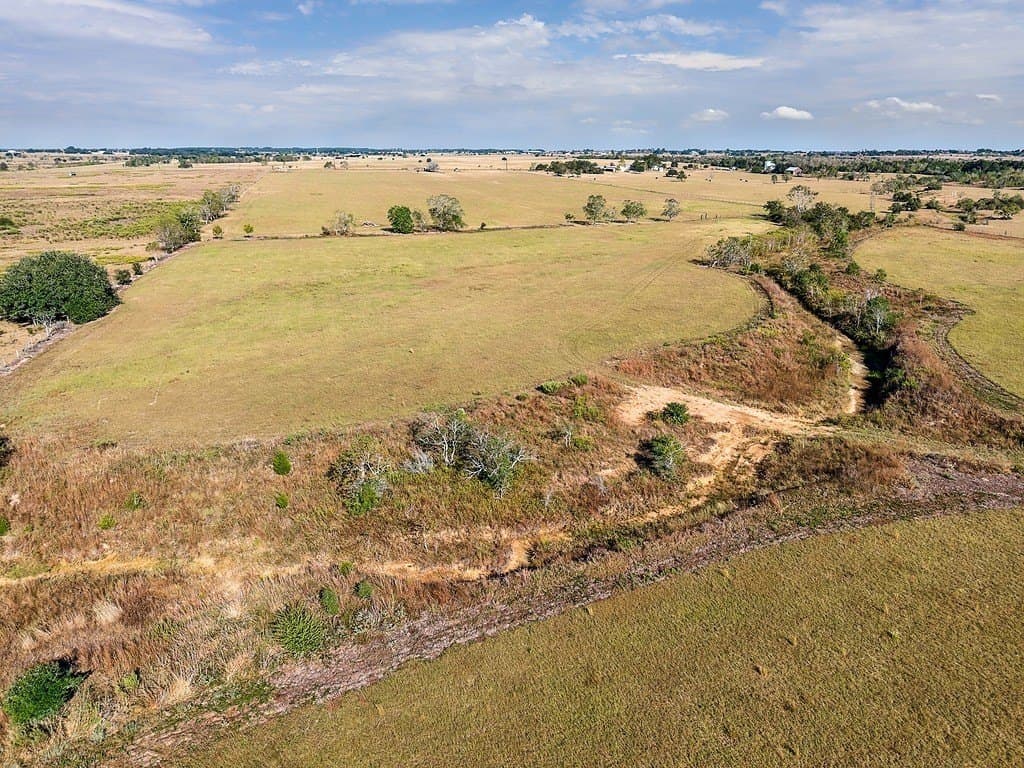 55.82 acres in Austin County featured view