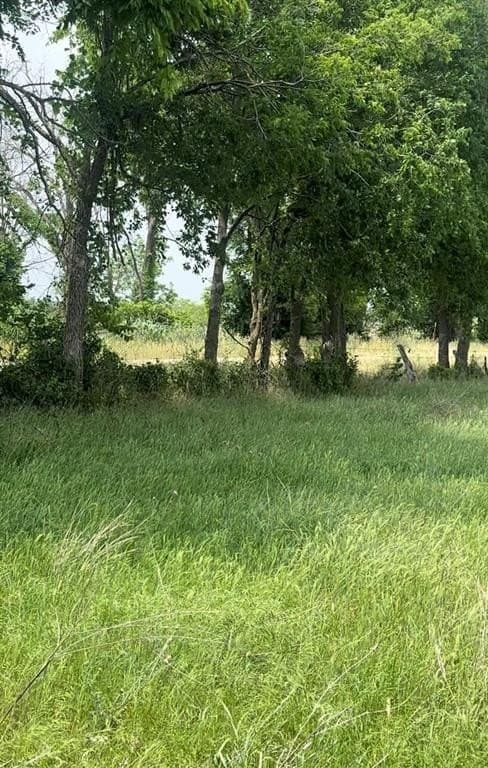 20.02 acres in Mills County gallery image 2