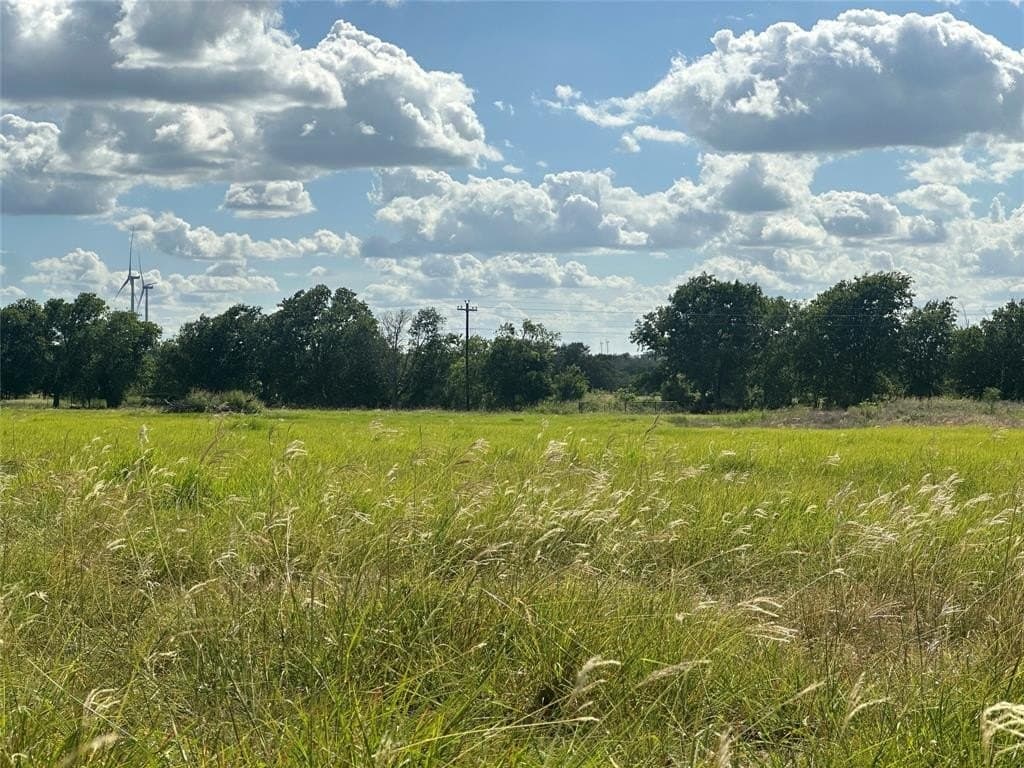 20.02 acres in Mills County gallery image 3