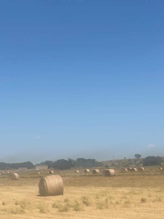 20.02 acres in Mills County gallery image 4