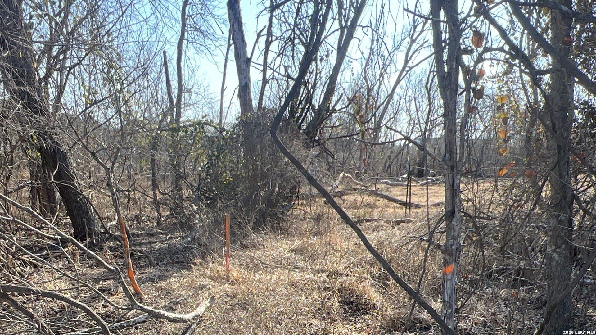 5 acres in Bexar County - photo 2