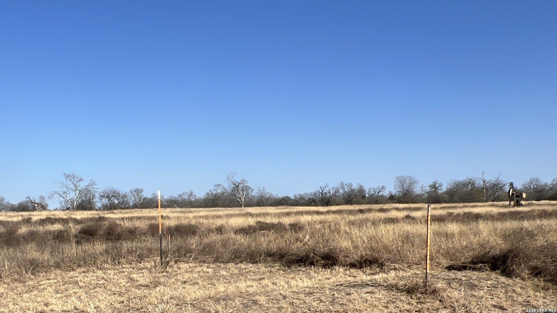 5 acres in Bexar County - photo 5