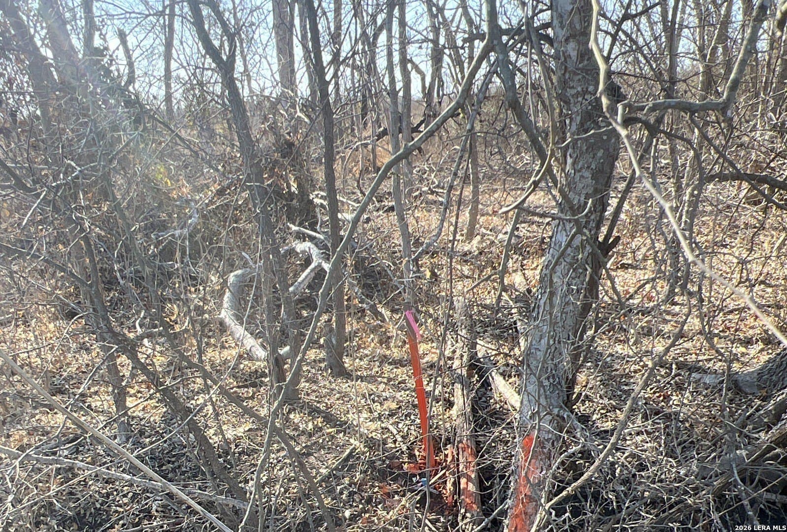 5 acres in Bexar County - photo 4
