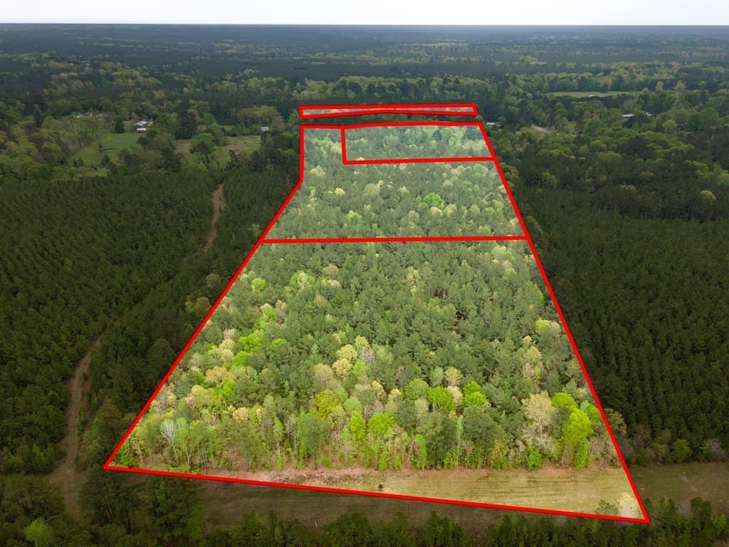 18.79 acres in Texas County gallery image 3