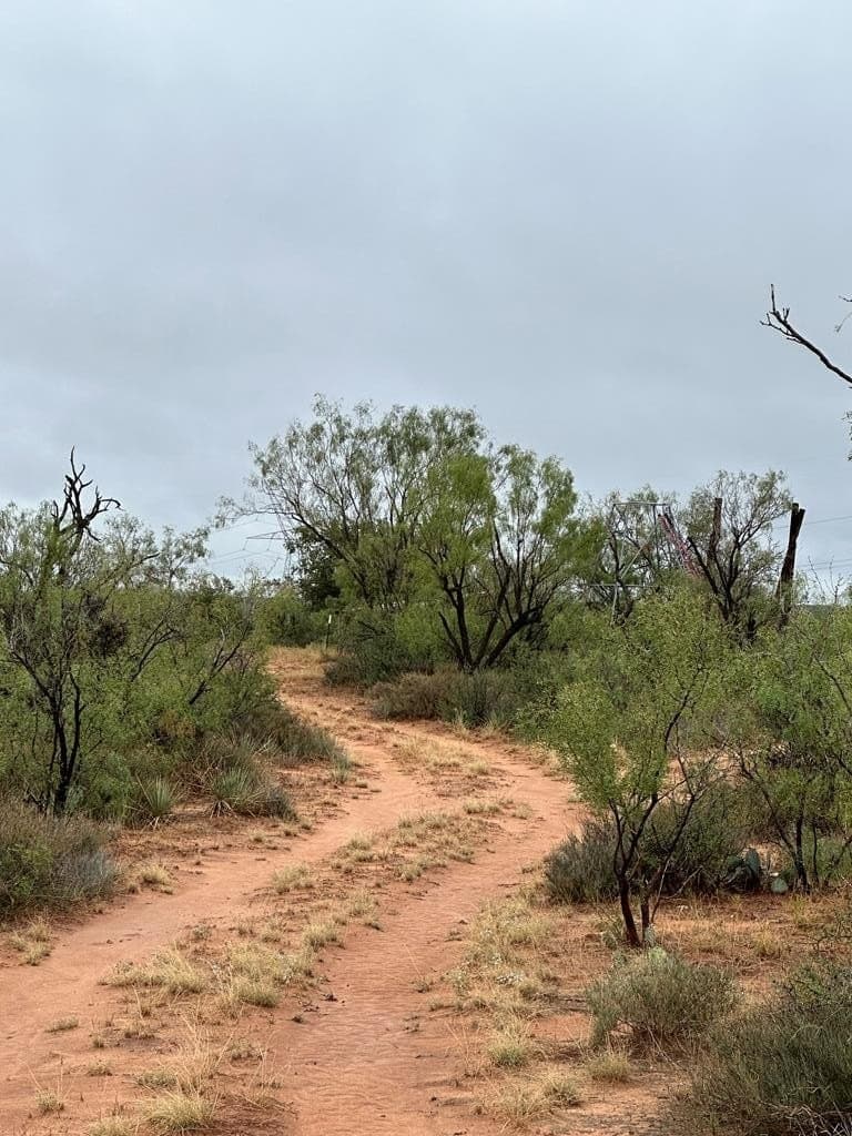 108 acres in Mitchell County featured view