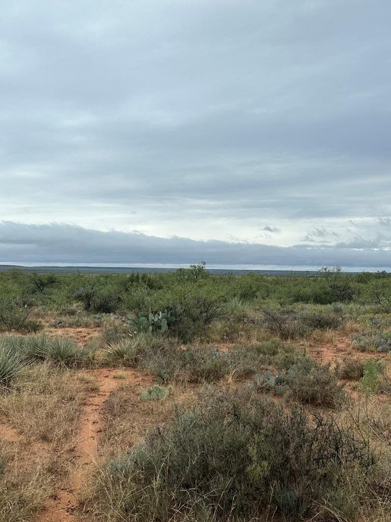 108 acres in Mitchell County gallery image 2