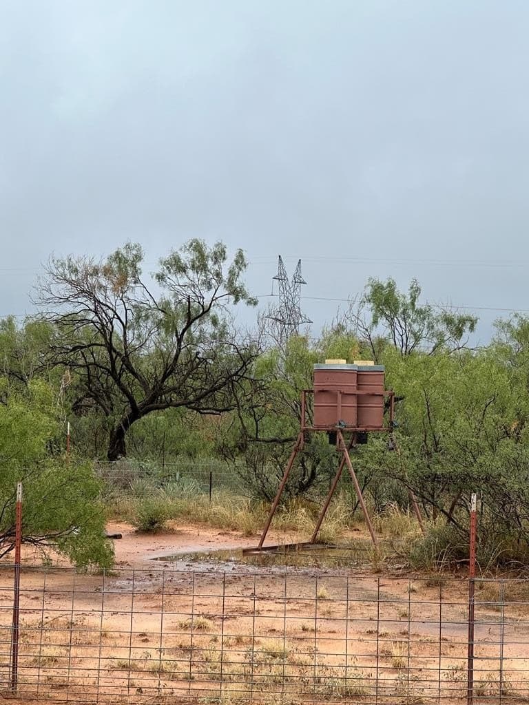 108 acres in Mitchell County gallery image 4