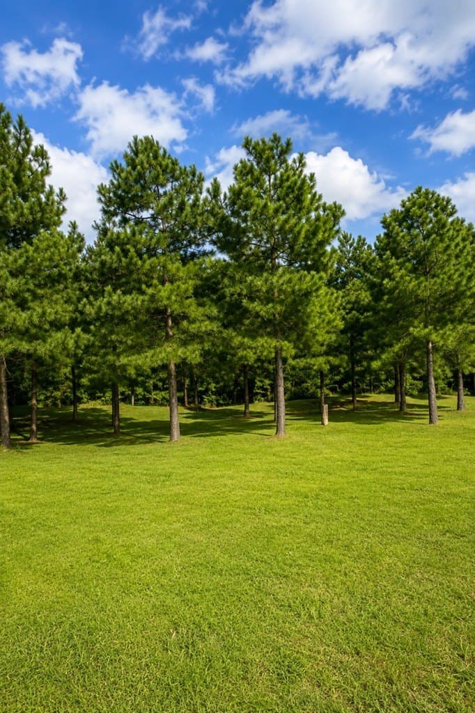 10.94 acres in Texas County - photo 19