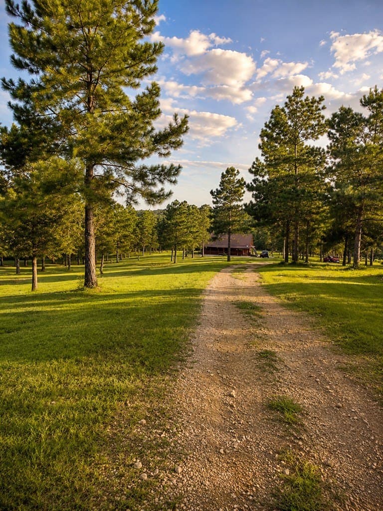 10.94 acres in Texas County gallery image 2