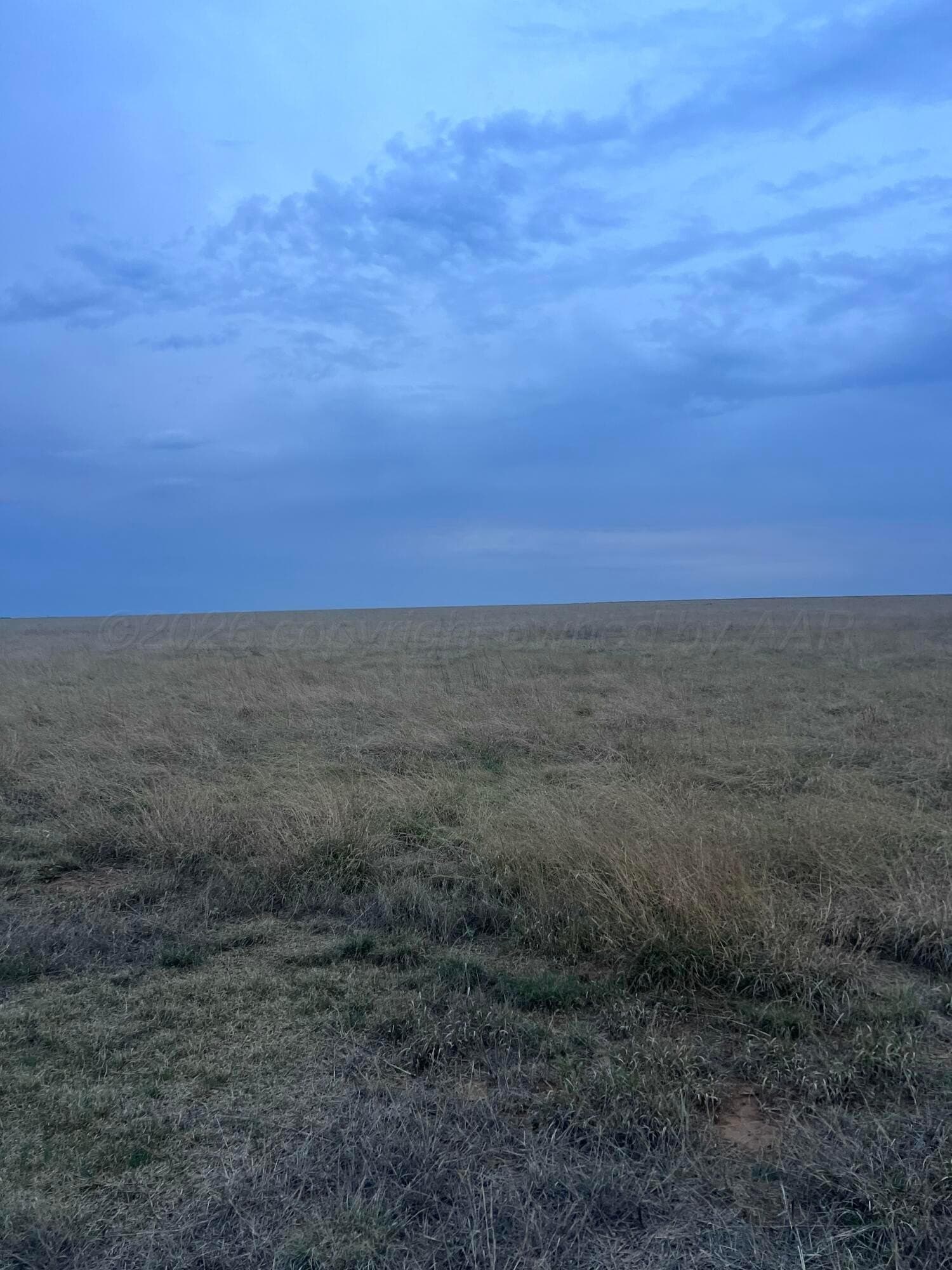 10.01 acres in Randall County - photo 3