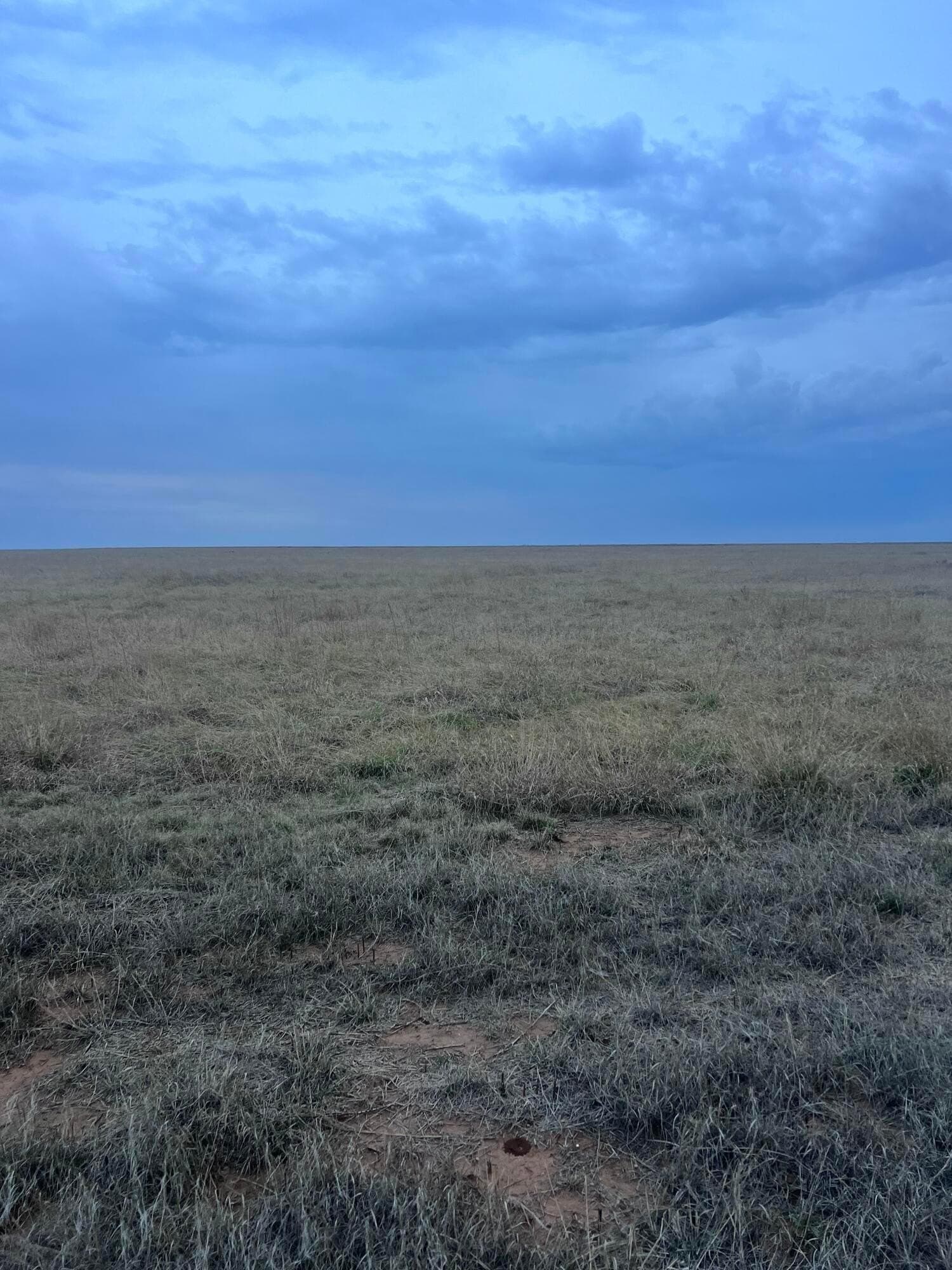 10.01 acres in Randall County - photo 2
