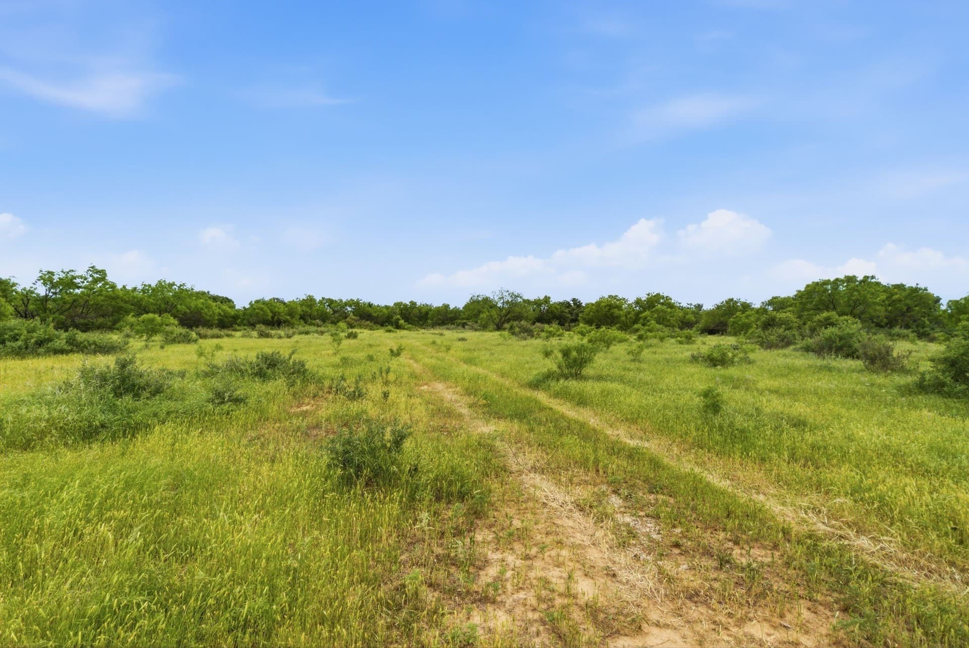40 acres in Shackelford County gallery image 3