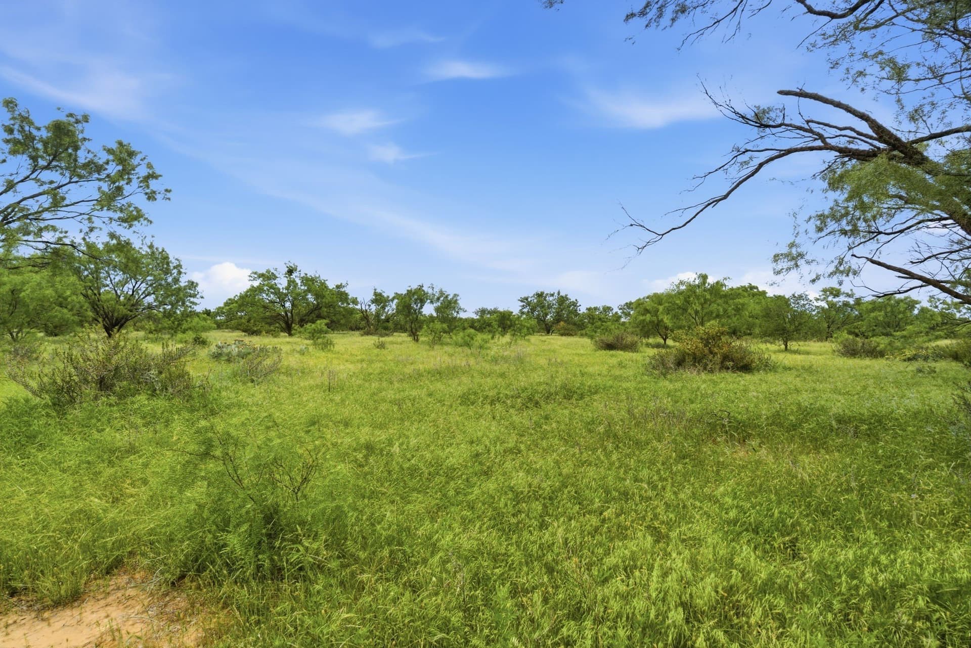 40 acres in Shackelford County gallery image 2