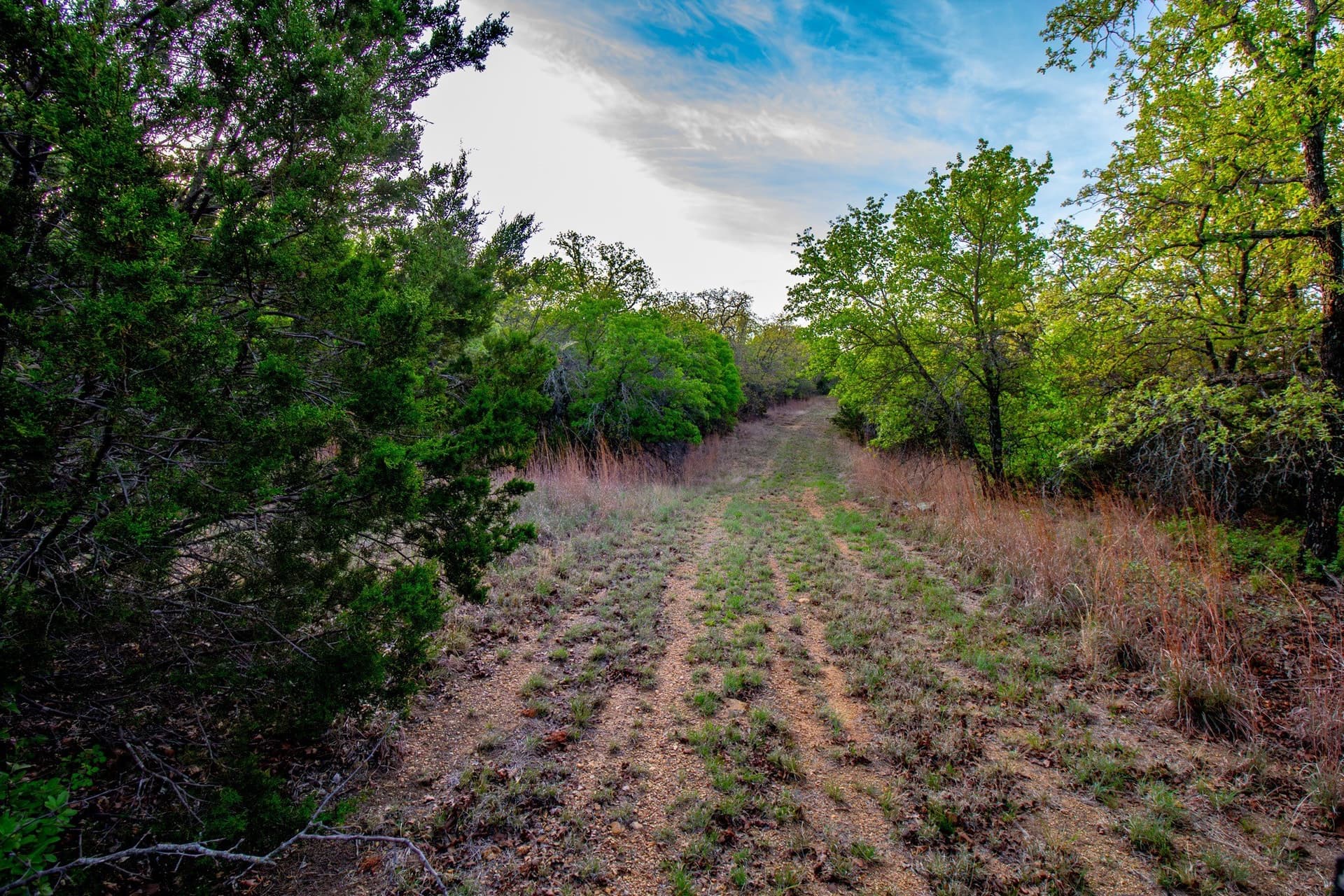 80 acres in Young County - photo 21