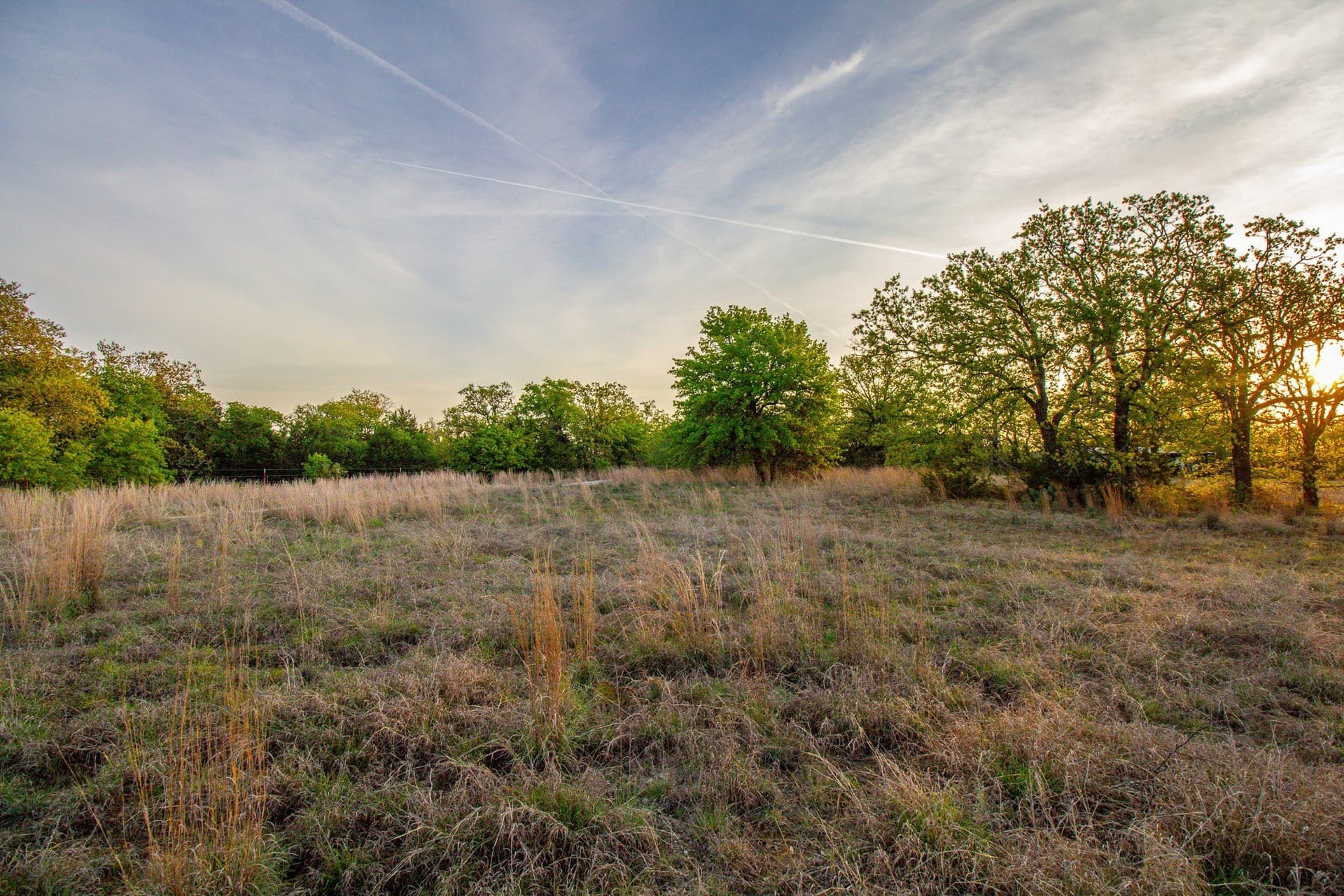 80 acres in Young County - photo 15