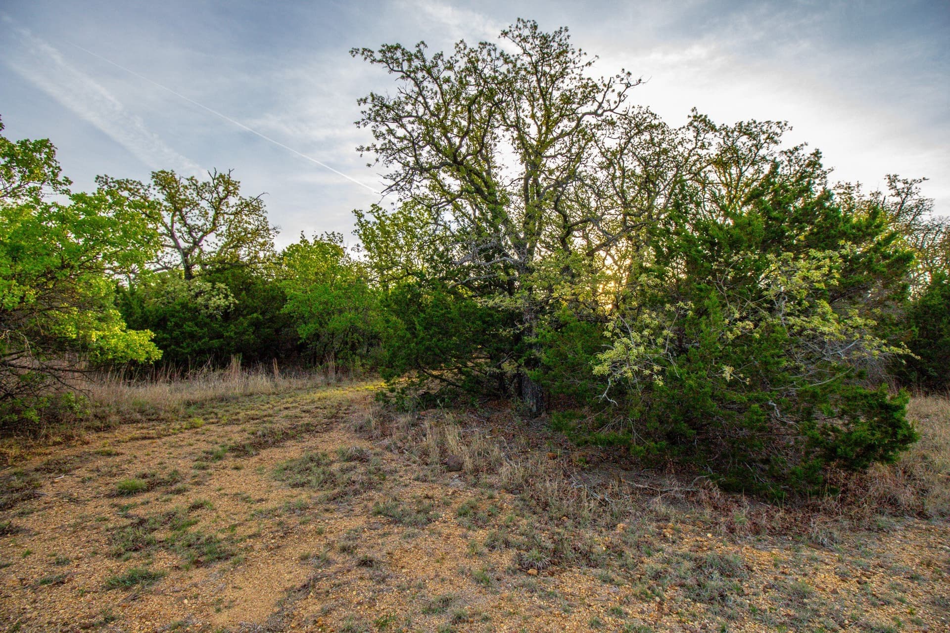 80 acres in Young County - photo 20
