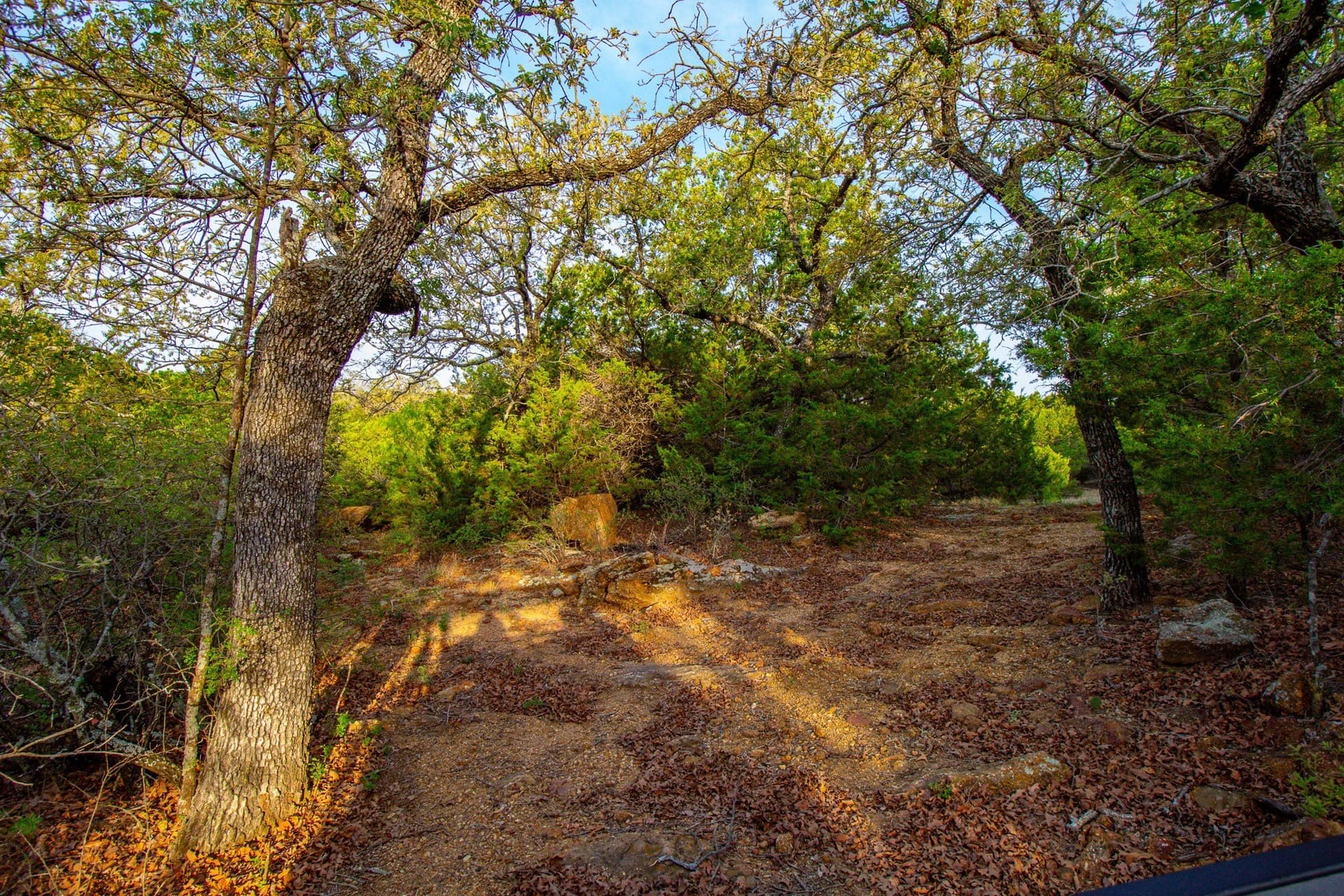80 acres in Young County - photo 23