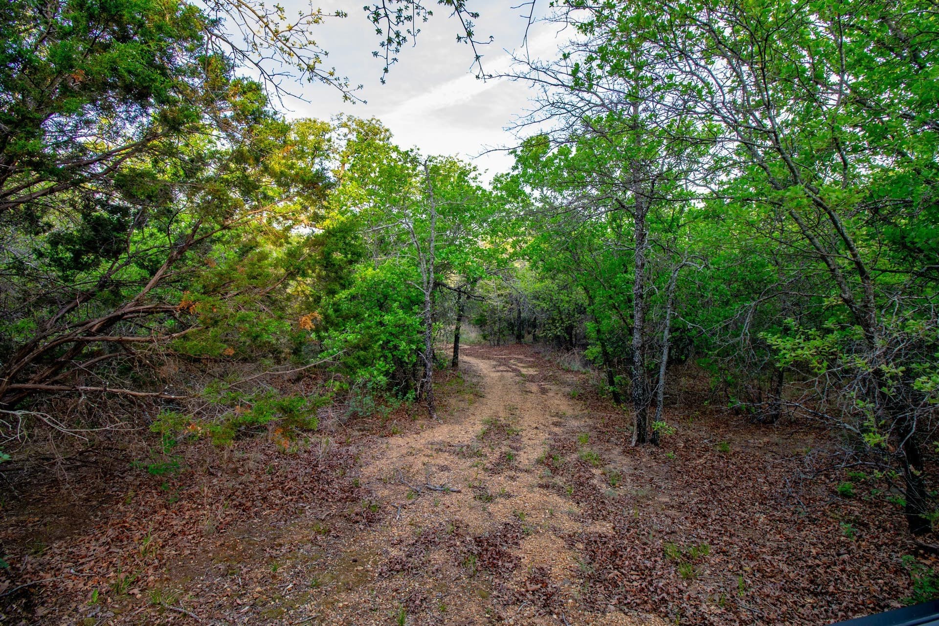 80 acres in Young County - photo 22