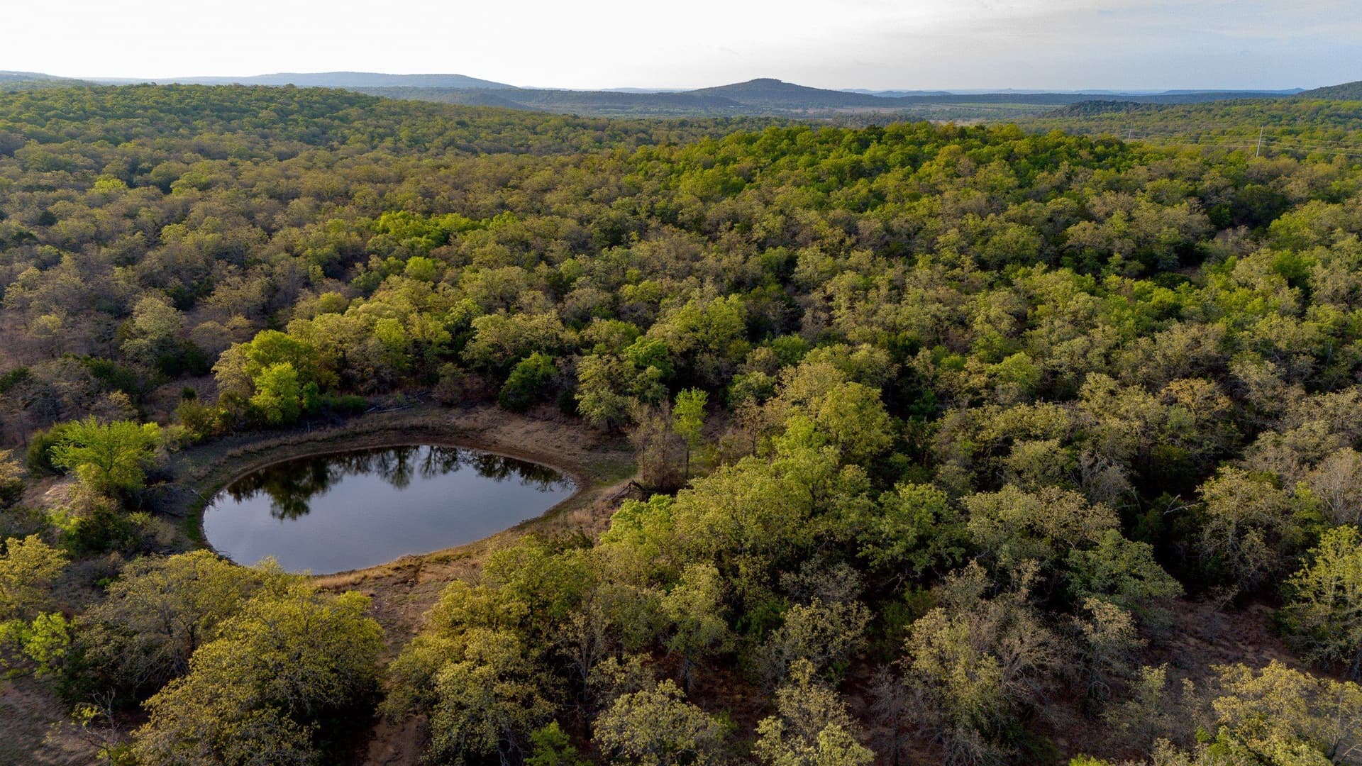 80 acres in Young County - photo 10