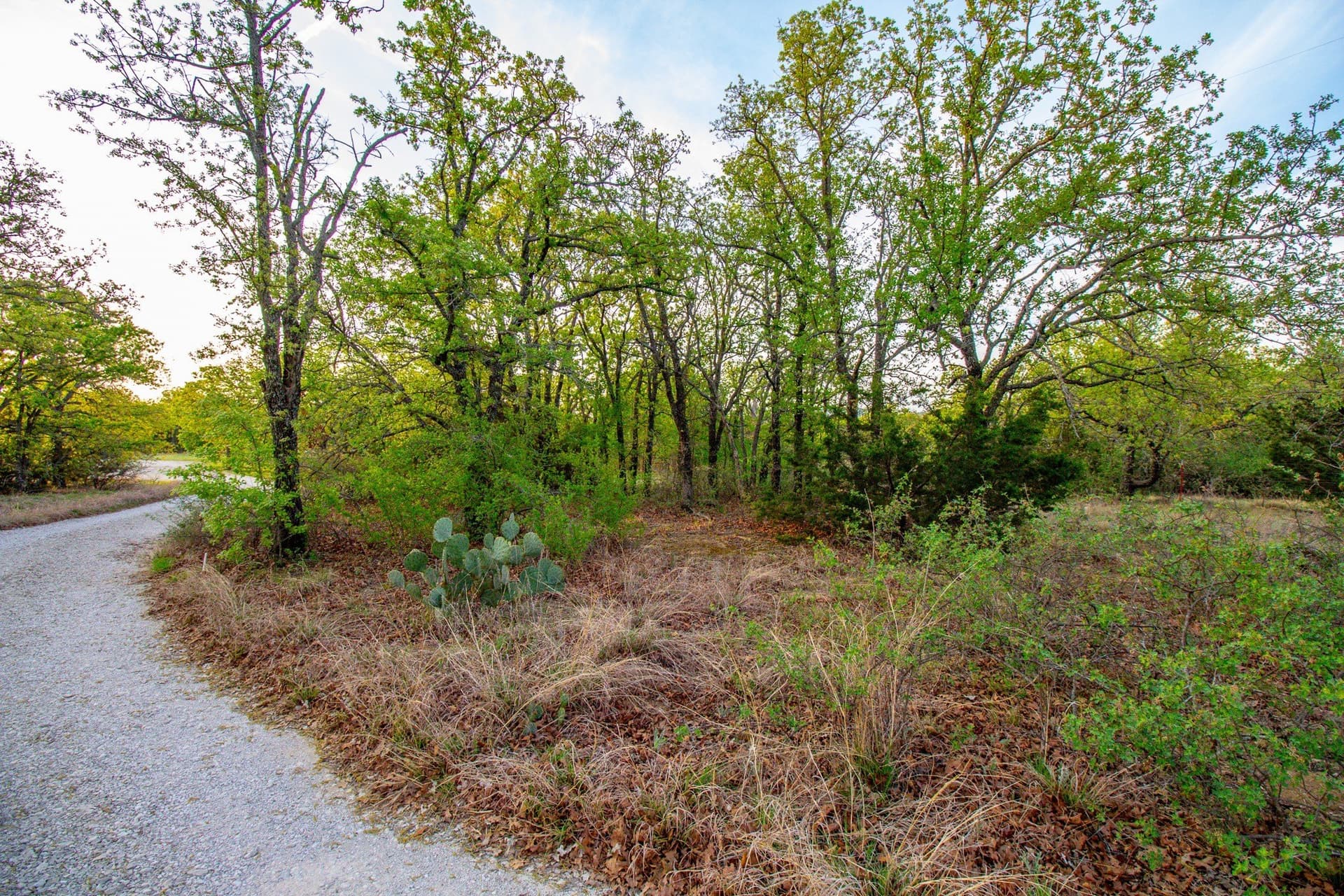 80 acres in Young County - photo 17