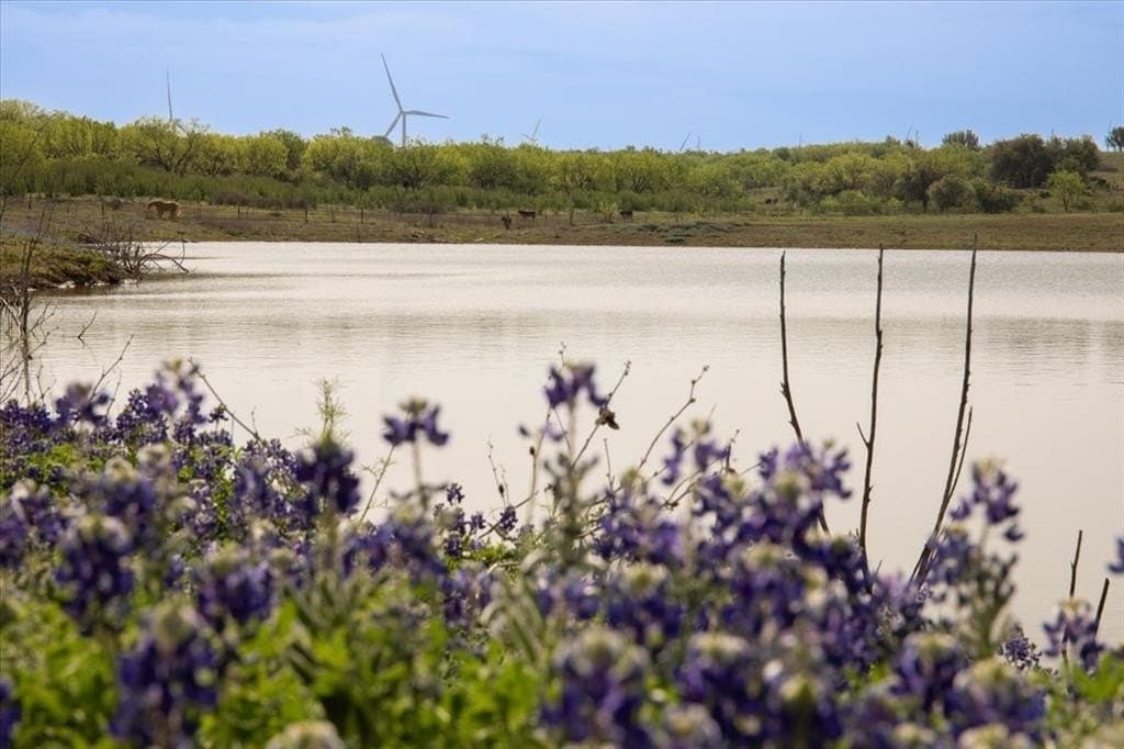 480 acres in Callahan County featured view