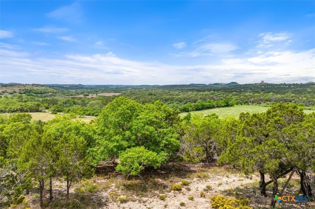 25 acres in Blanco County - photo 42