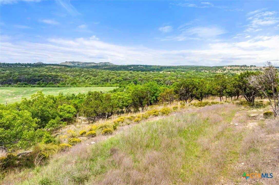 25 acres in Blanco County - photo 24