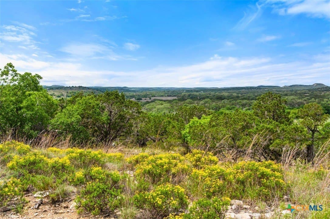 25 acres in Blanco County - photo 39