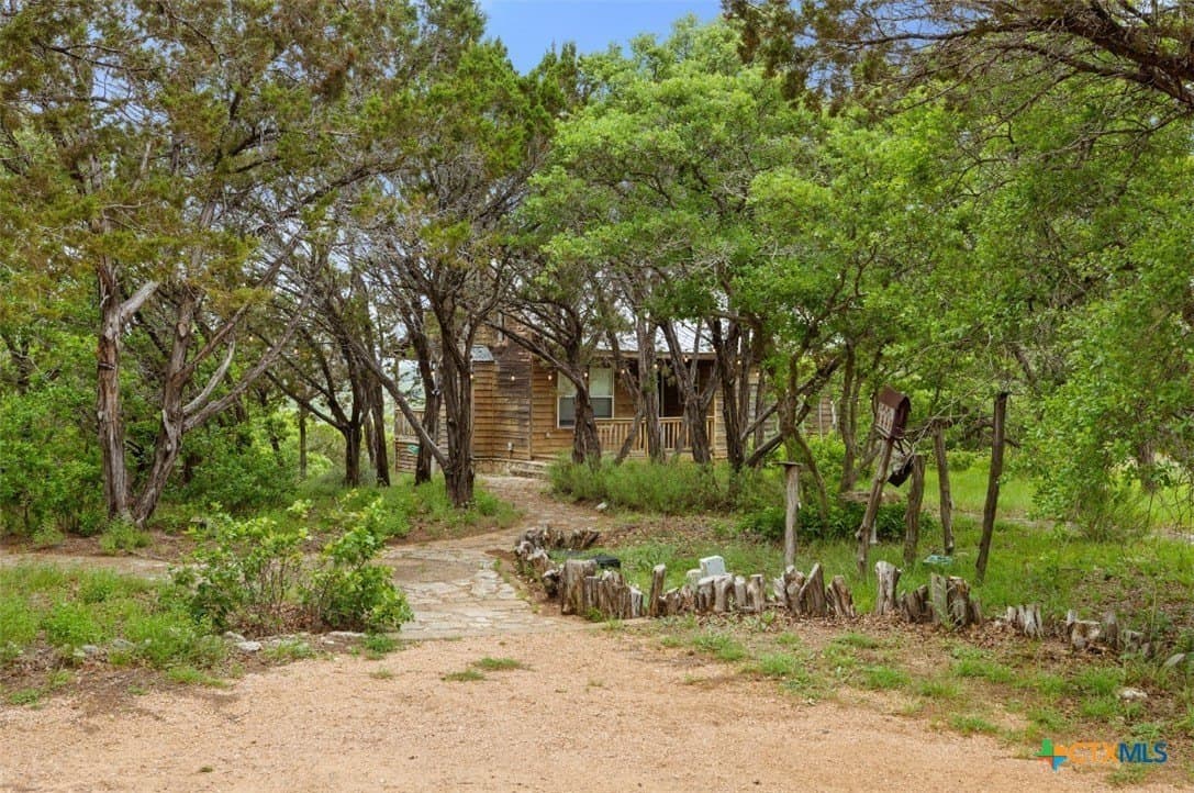 25 acres in Blanco County - photo 7