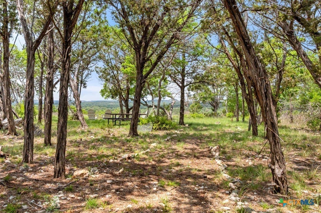 25 acres in Blanco County - photo 40