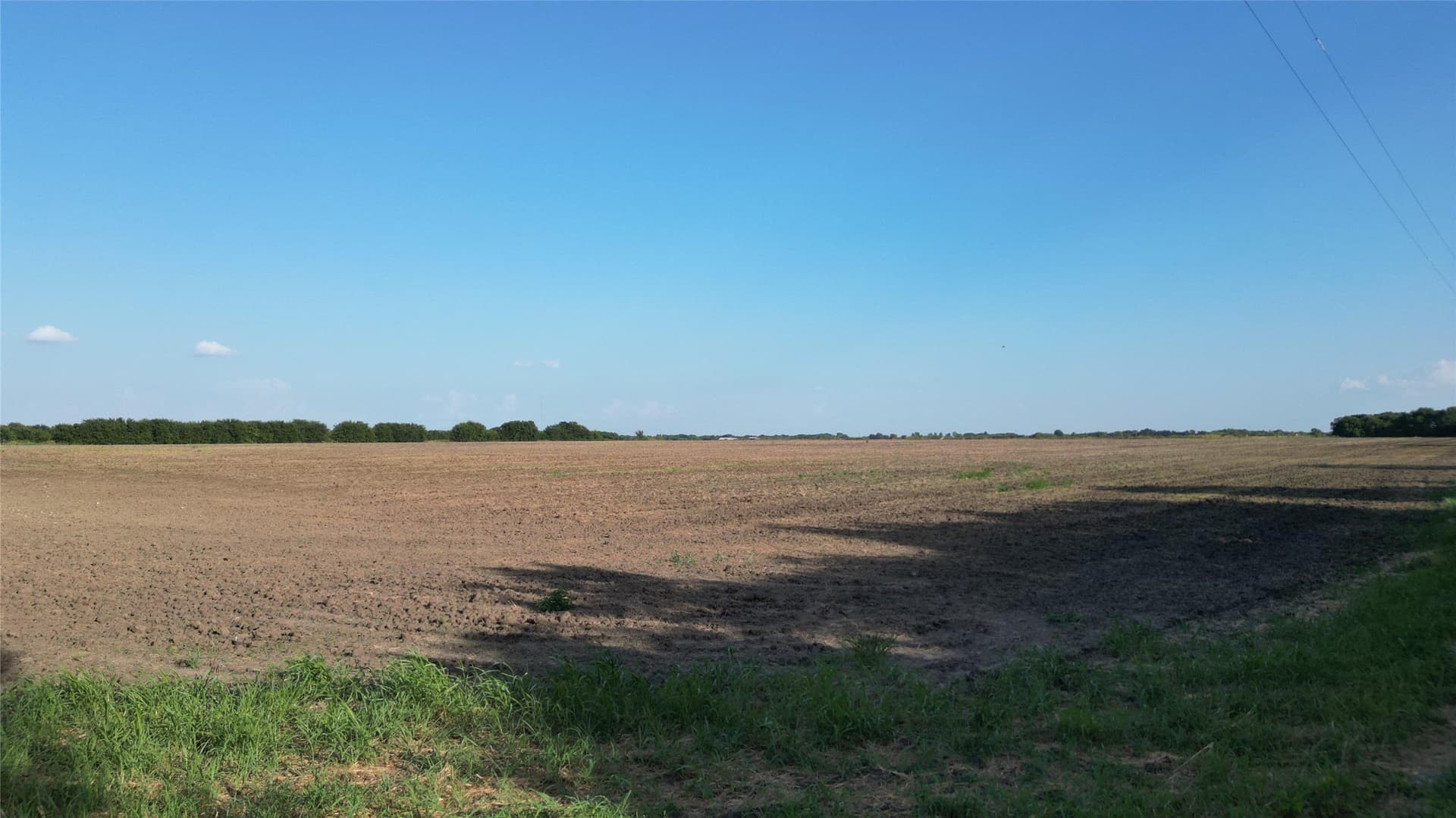 11.86 acres in Fannin County - photo 5
