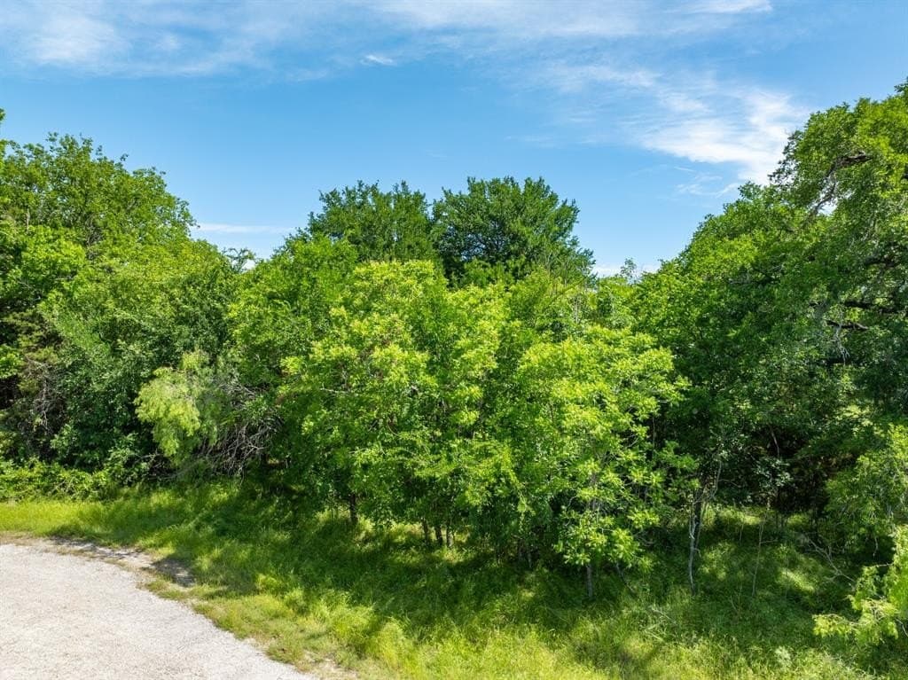 0.3 acres in Hill County gallery image 3