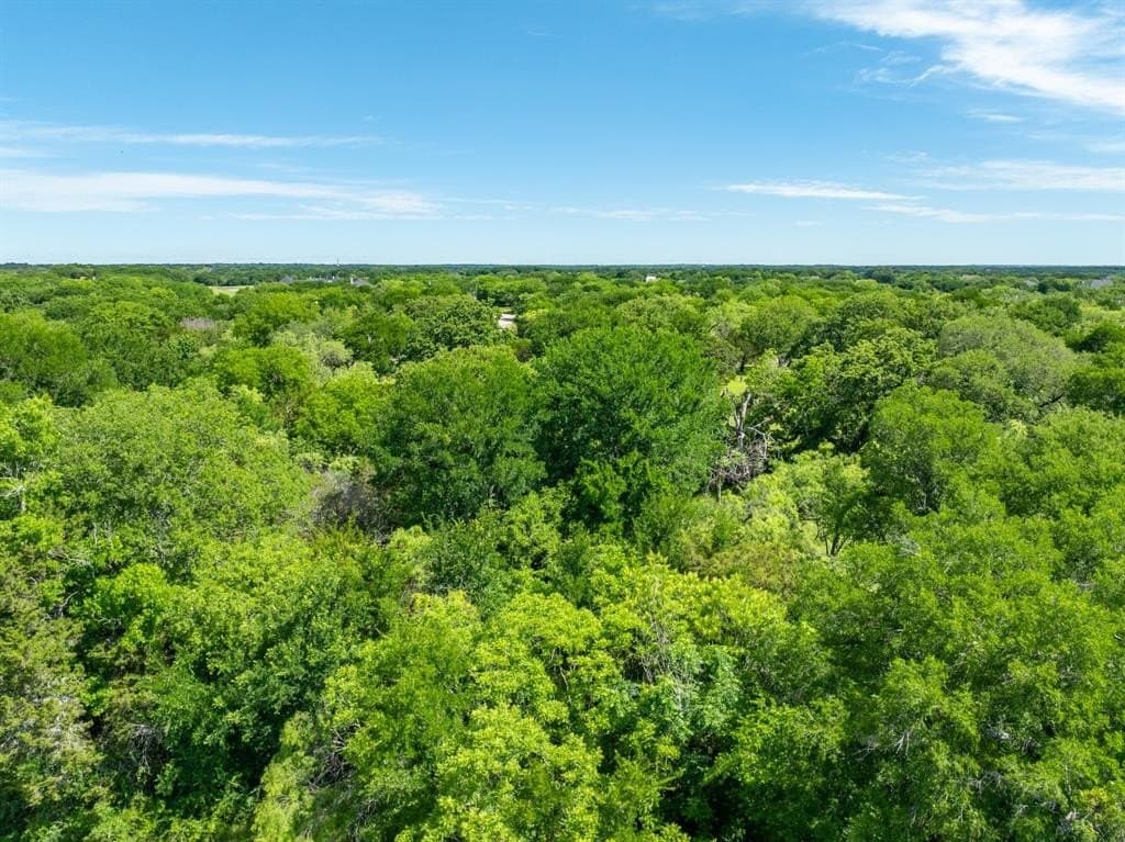 0.3 acres in Hill County gallery image 4