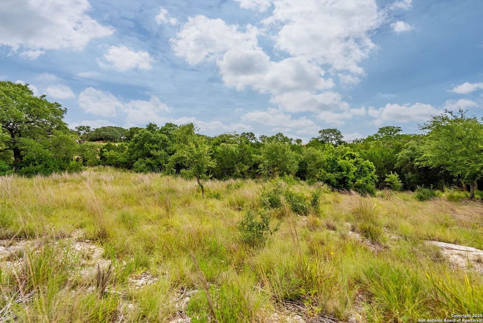 0.64 acres in Bexar County - photo 35