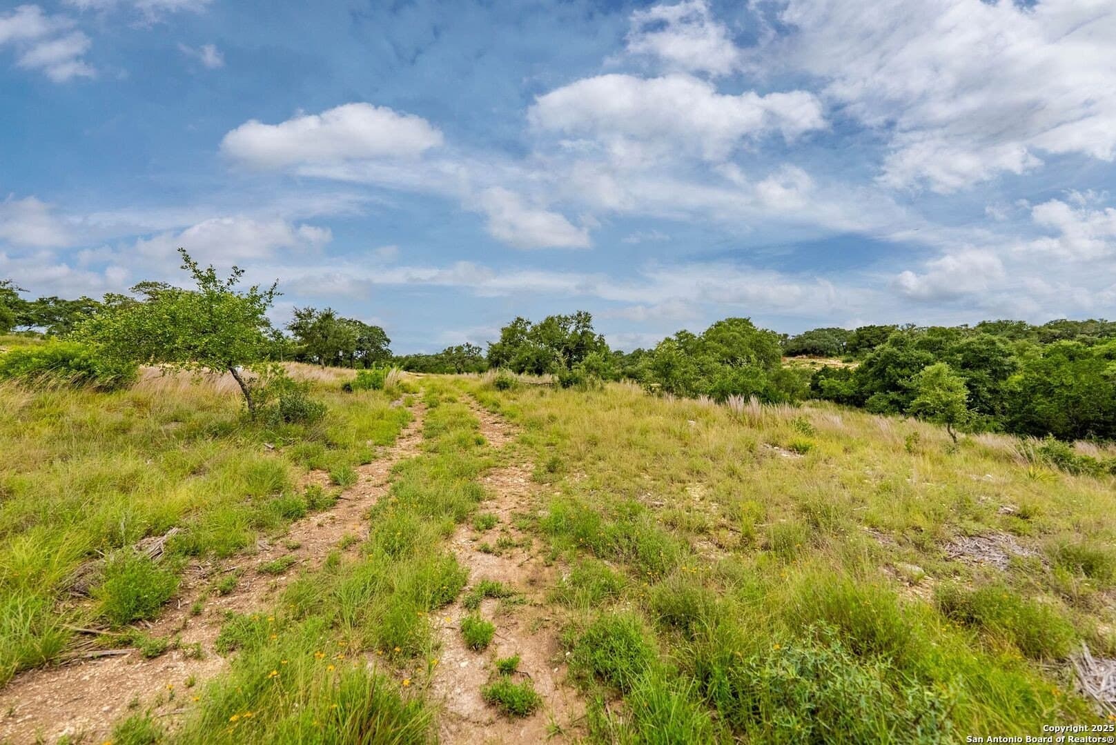0.64 acres in Bexar County - photo 32