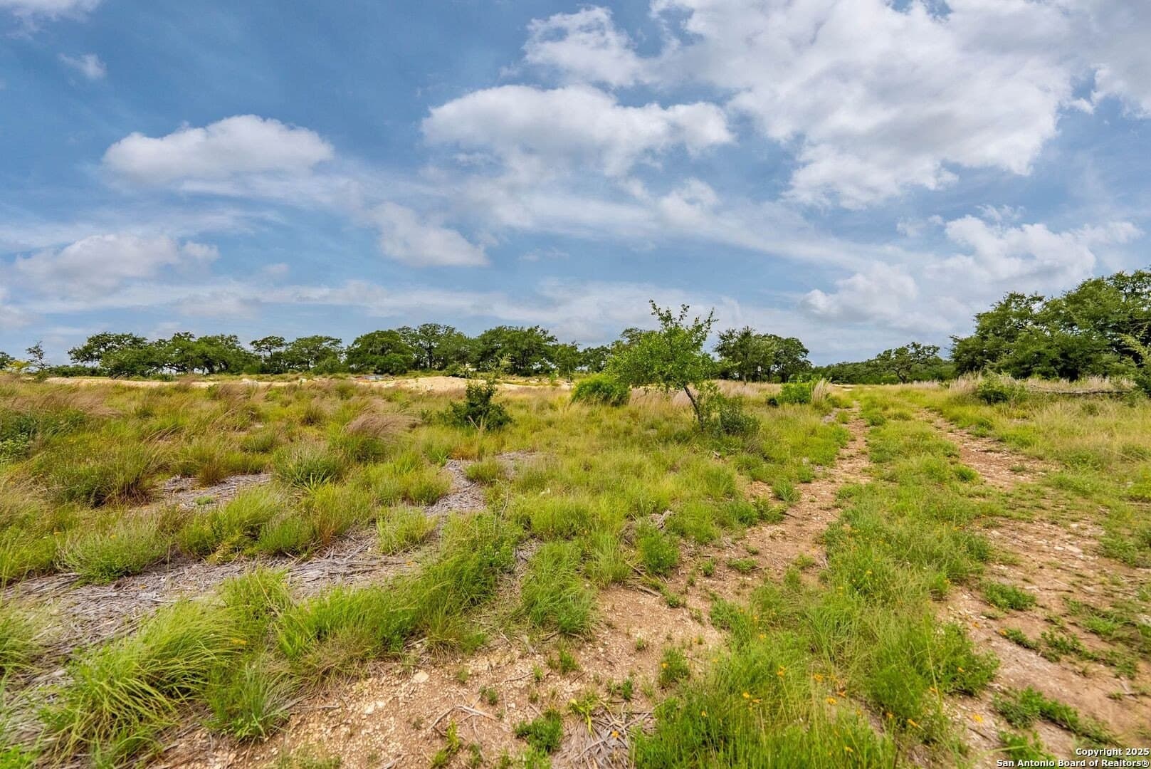 0.64 acres in Bexar County - photo 31