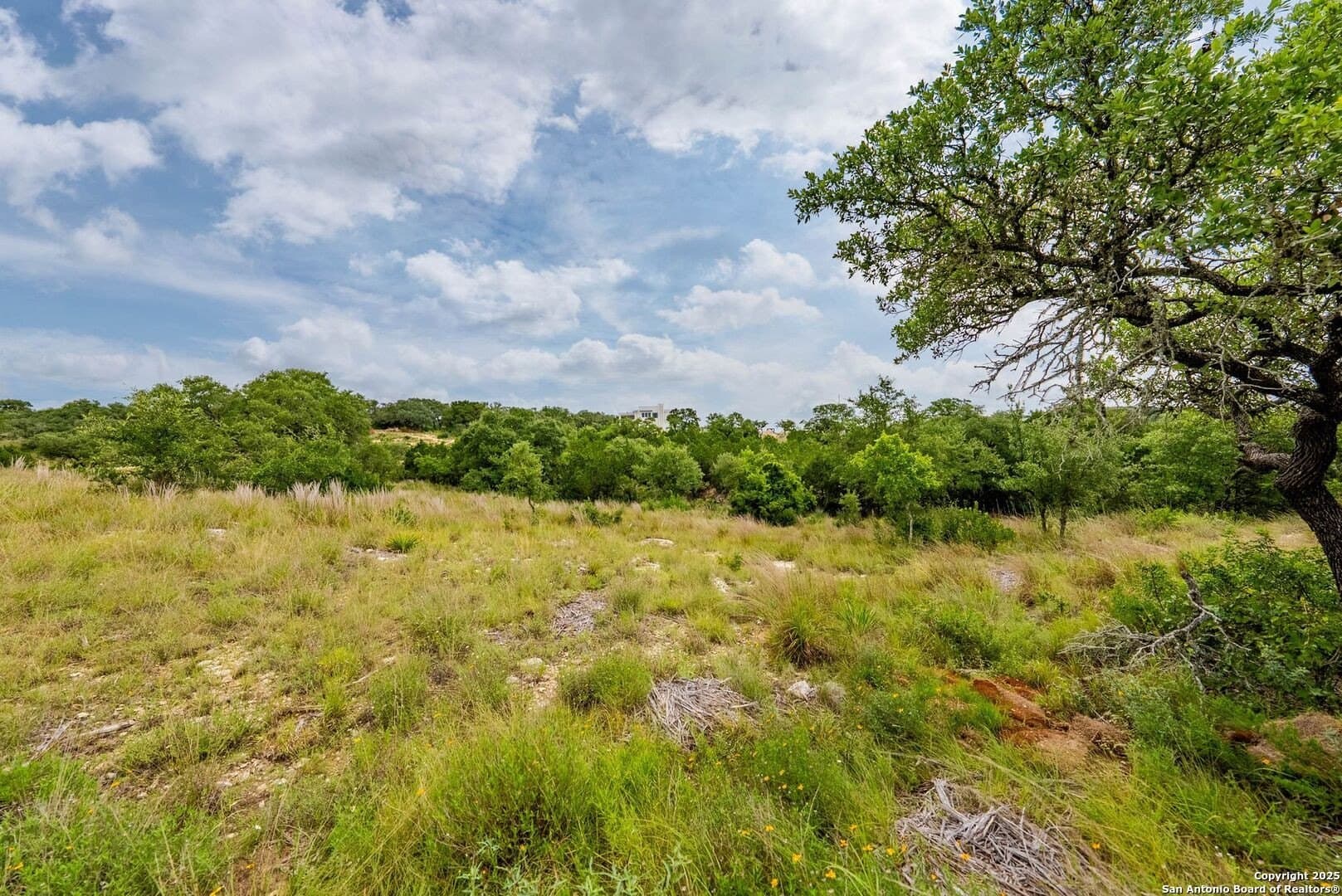 0.64 acres in Bexar County - photo 33