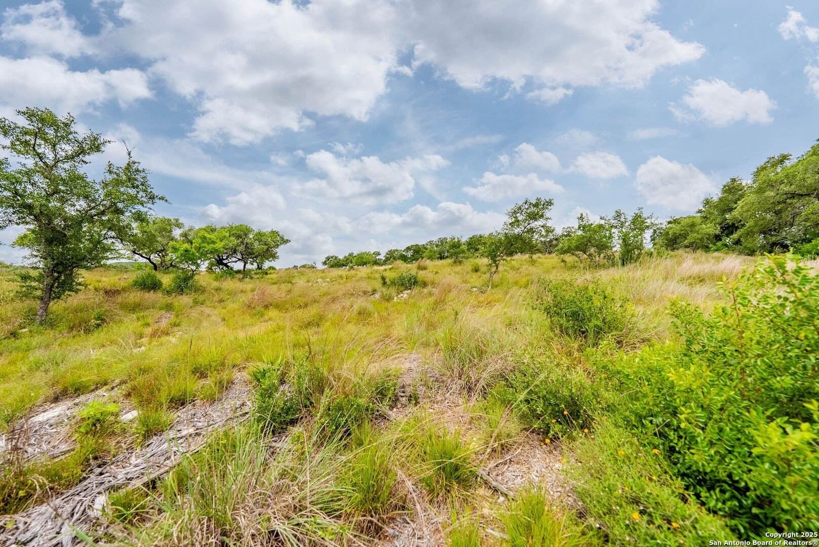 0.64 acres in Bexar County - photo 39