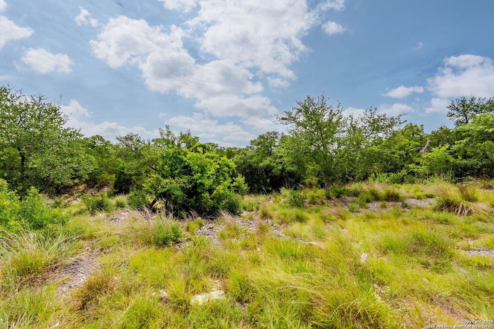 0.64 acres in Bexar County - photo 36